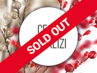 Immagine 200x150_Cesti sold out-01